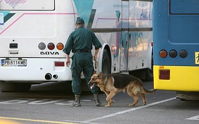 A Bulgarian policeman searching for bombs among buses at the Borgas airport Wednesday. (photo credit: (AP/ Impact Press Group)