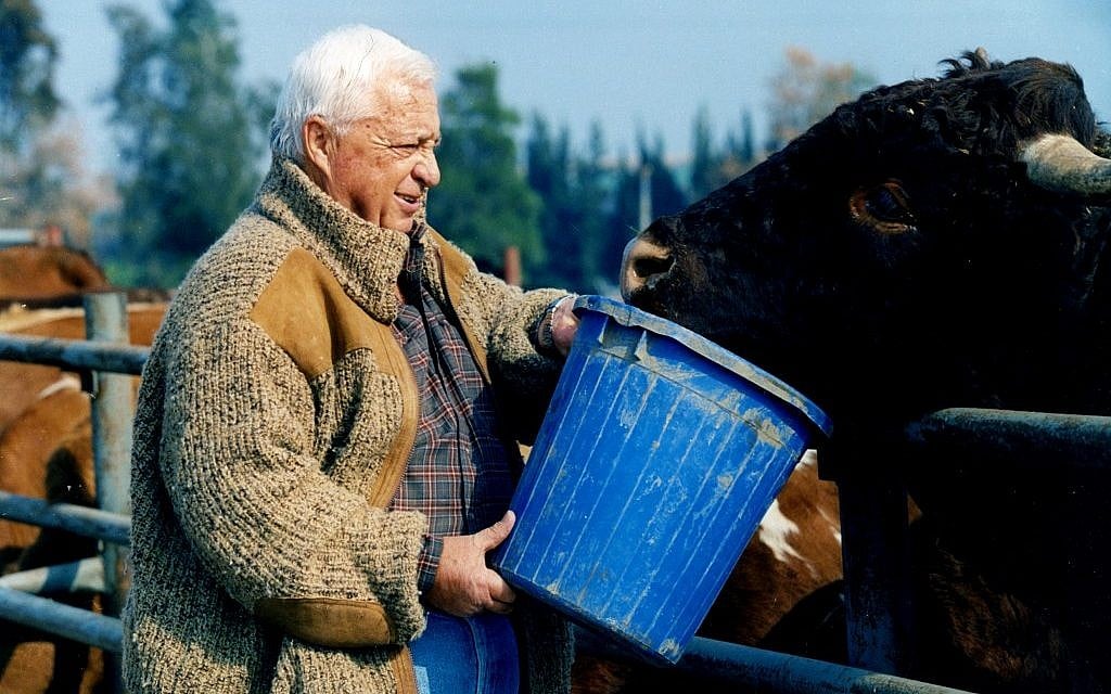 Ariel Sharon working on his Sycamore Farm in the Negev (Photo credit: Moshe Shai/FLASH90)