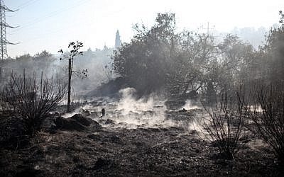 The smoldering fire outside Jerusalem last month. (photo credit: Noam Moskowitz/Flash 90)