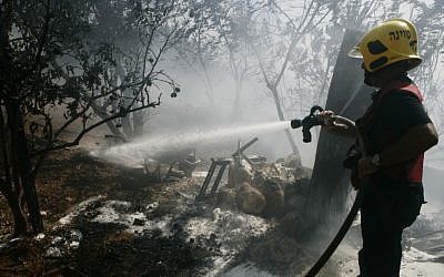 A firefighter battling the forest fire in Ein Hemed, just outside of Jerusalem on July 15, 2012. (photo credit: Uri Lenz/Flash90)