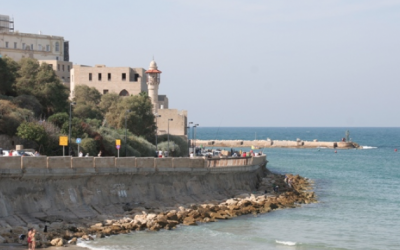 Jaffa (photo credit: Shmuel Bar-Am/File)
