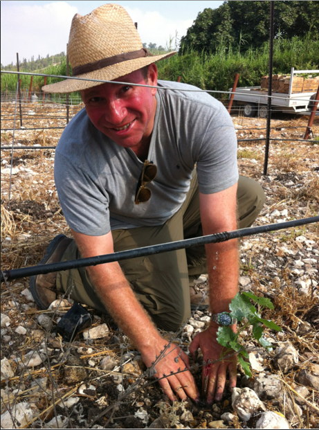 Elie Wurtman planting his grapes (Courtesy Bat Shlomo Winery)