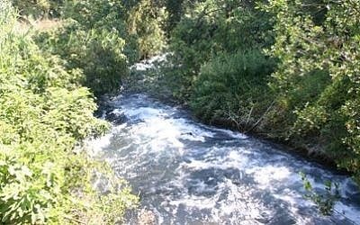 Tel Dan River (photo credit: Aviva and Shmuel Bar-Am)