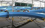 One of Grow Fish Anywhere's facilities in Israel (photo credit: Courtesy)