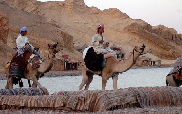 Bedouin in the Sinai desert in 2006. (photo credit: Yossi Zamir/Flash90)