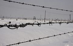 Illustrative photo of Auschwitz's barbed wire fences (Isaac Harari/Flash90)