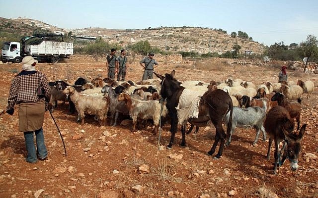 Soldiers watching sheep in the West Bank. (illustrative photo: Najeh Hashlamoun/Flash90)