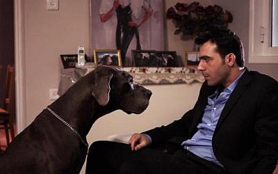 Scene from David Shadi's short comedy film "GentleDog" (photo credit: David Dadi Shadi, Facebook)