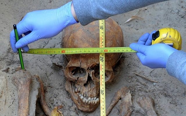 An archaeologist examines a skull uncovered at Warsaw's Powazki cemetery, where Poles hope to find the remains of Auschwitz survivor Witold Pilecki. (Photo credit: Alik Keplicz/AP) An archaeologist examines a skull uncovered at Warsaw's Powazki cemetery, where Poles hope to find the remains of Auschwitz survivor Witold Pilecki. (Photo credit: Alik Keplicz/AP)