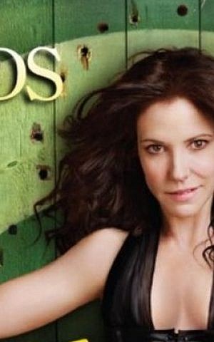Mary-Louise Parker in Weeds (photo credit: Showtime)
