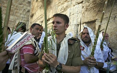 Illustrative: Jewish worshipers hold palm fronds, citron fruits and myrtle and willow branches during Sukkot 2009 (photo credit: Matanya Tausig/Flash90)