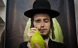 Illustrative: An ultra-Orthodox man examines a citron (etrog) in Jerusalem (photo credit: Yonatan Sindel/Flash90)