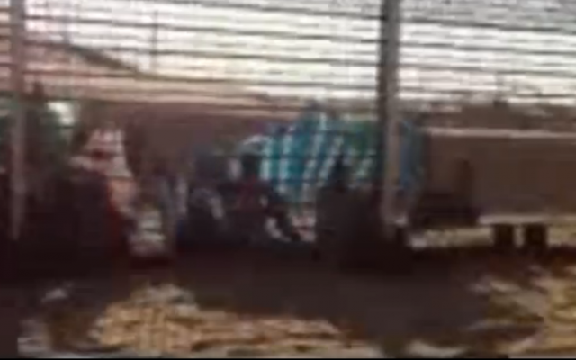 Eritrean migrants stuck at the Israeli-Egyptian border after Israel refused them entry six days ago (photo credit: screen capture, Channel 2 News) Eritrean migrants stuck at the Israeli-Egyptian border after Israel refused them entry six days ago (photo credit: screen capture, Channel 2 News)