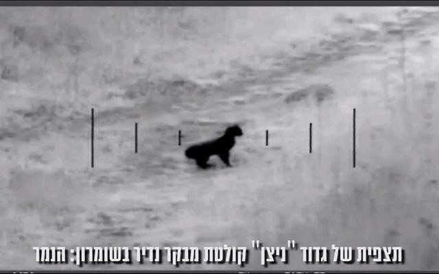 IDF cameras filmed a rare leopard in the northern West Bank (photo credit: screen capture idfspox1/Youtube)