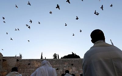 Early morning selichot at the Western Wall (photo credit: Nati Shohat/Flash 90)