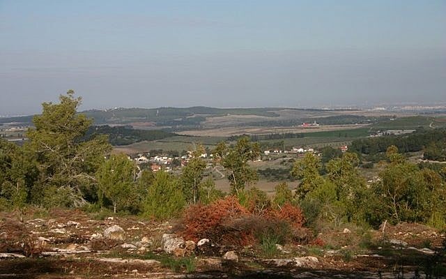 Terrific views from the President's Forest (photo credit: Shmuel Bar-Am)