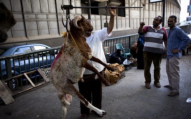 An Egyptian butcher measures the wight of a sheep on a sidewalk Sunday , part of an unseen cluster of sheep that is offered for sale in preparation for Eid al-Adha (Photo credit: Nasser Nasser/ AP)
