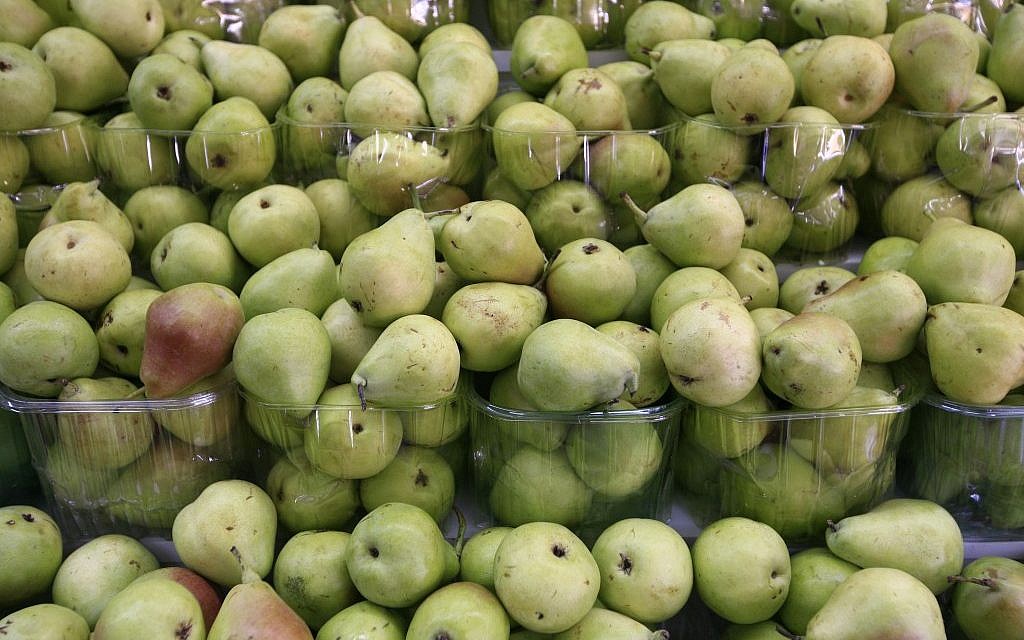 Pears in abundance (photo credit: Nati Shohat/Flash 90)