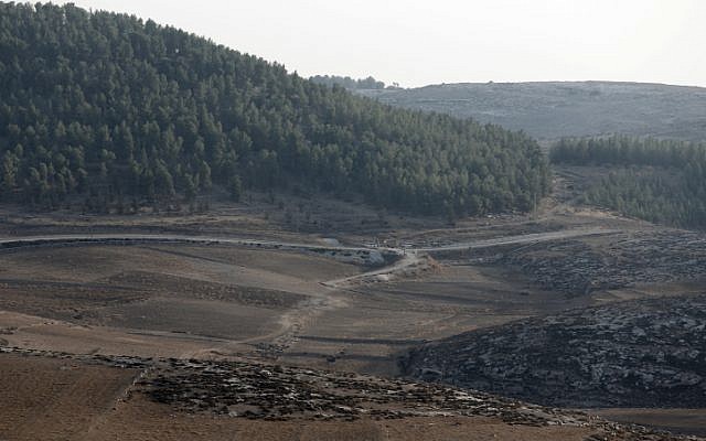 The edge of the Yatir Forest on Saturday morning after the unidentified UAV was shot down by Israeli F-16s (Photo credit: Tsafrir Abayov/ Flash 90)