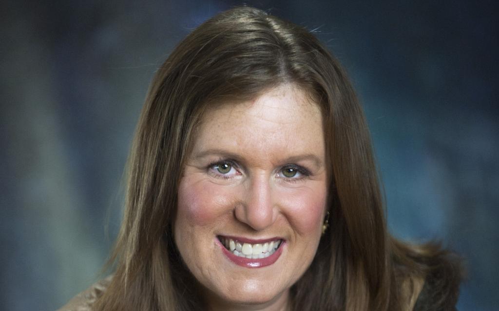 Shelley Adler and her Republican opponent both tout their staunch support of Israel. (Photo credit: Shelley Adler for Congress via JTA) Shelley Adler and her Republican opponent both tout their staunch support of Israel. (Photo credit: Shelley Adler for Congress via JTA)