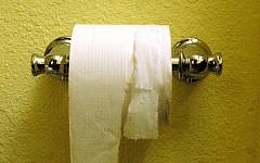 Toilet paper (photo credit: CC BY anyjazz65, Flickr)