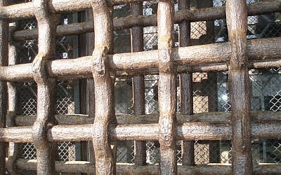 Prison bars (photo credit: CC BY libertygrace0, Flickr)