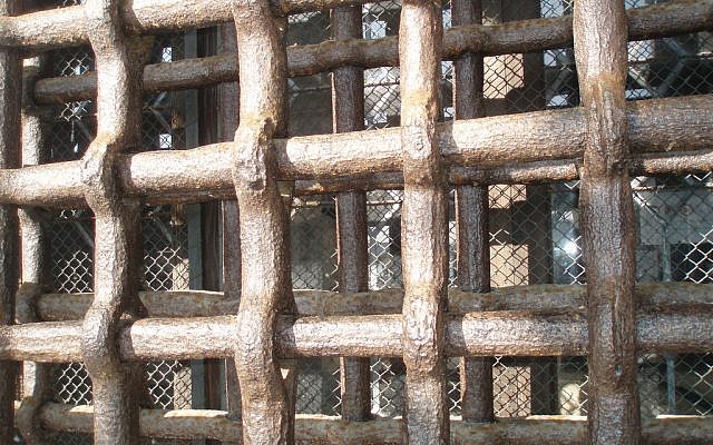 Prison bars (photo credit: CC BY libertygrace0, Flickr)