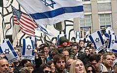 File: Americans rally in support of Israel, Chicago, November 2013. (photo credit: Courtesy JUF Chicago/JTA)