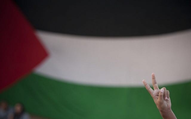 Activist during the bid for Palestinian statehood recognition at the UN in September 2011. (photo credit: Yonatan Sindel/Flash90) Activist during the bid for Palestinian statehood recognition at the UN in September 2011. (photo credit: Yonatan Sindel/Flash90)