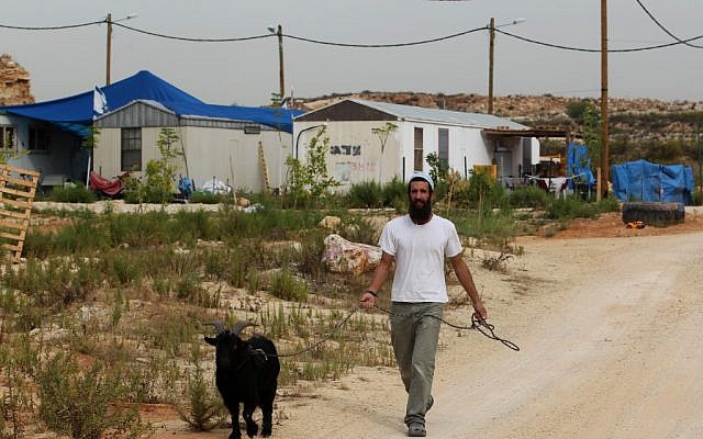 A man walking a goat in the settlement of Tsofim on Wednesday. (photo credit: Nati Shohat/Flash90)