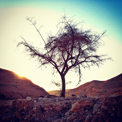 Judean Desert (photo credit: Jorg Nicht)