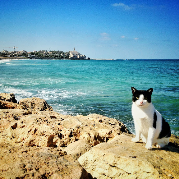 Tel Aviv beach (photo credit: VuTheara Kham)