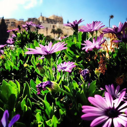 Jerusalem (photo credit: Joey Mena)