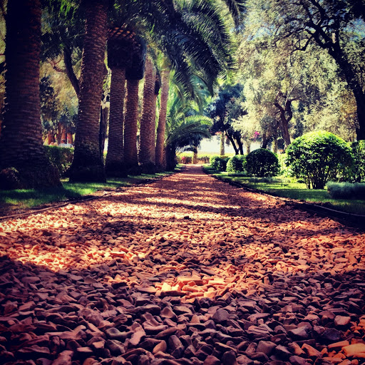 Bahai Gardens, Haifa (photo credit: Dave Temple)