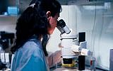 A researcher at a laboratory in Haifa's Technion University. (Courtesy)