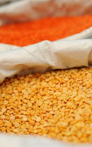 Lentils in the sack at Machane Yehuda (photo credit: Sophie Gordon/Flash 90)
