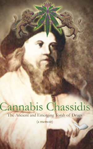"Drugs don’t create a spiritual experience," says author Yoseph Needelman. (Courtesy of JTA)