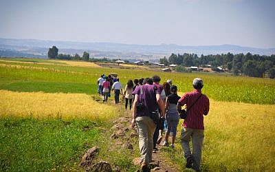 The group makes its way to Jenda, passing green and yellow fields, in a single-file line (photo credit: Michal Shmulovich/ToI) The group makes its way to Jenda, passing green and yellow fields, in a single-file line (photo credit: Michal Shmulovich/ToI)
