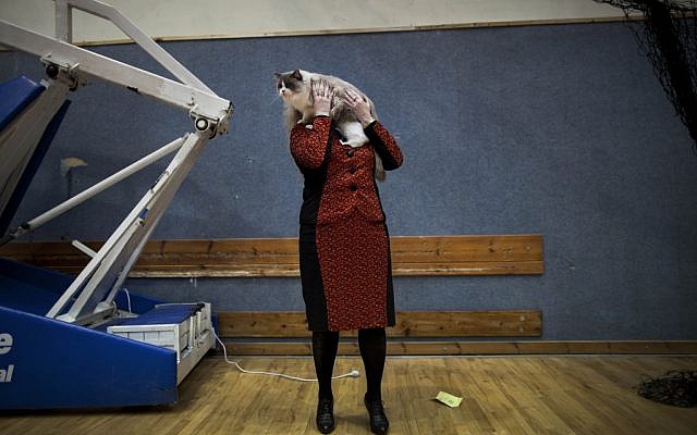 Natalia Lerner, who immigrated to Israel in 1991 from the city of Tyumen in Siberia, presents her cat to the judges of a cat competition in the central city of Holon. Cats are prominent in Russian culture, and most members of Israeli cat societies are immigrants from the former Soviet Union. (photo credit: AP Photo/Oded Balilty)