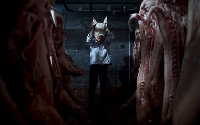 An employee of the Mizra pork factory poses with a pig's head in a refrigerated warehouse in Kibbutz Mizra, northern Israel. The million-strong Soviet immigrant community has increased customer demand for pork in the country, a non-kosher food rarely eaten by Israeli Jews or Arab-Israeli Muslims. (photo credit: AP Photo/Oded Balilty)