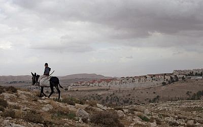 A Palestinian boy riding a donkey near the E1 settlement corridor, with Ma'aleh Adumim in the background (photo credit: (AP/Sebastian Scheiner)