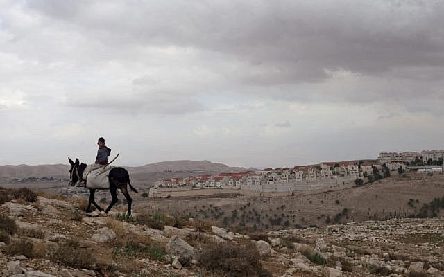 A Palestinian boy riding a donkey near the E1 settlement corridor, with Ma'aleh Adumim in the background (photo credit: (AP/Sebastian Scheiner) A Palestinian boy riding a donkey near the E1 settlement corridor, with Ma'aleh Adumim in the background (photo credit: (AP/Sebastian Scheiner)