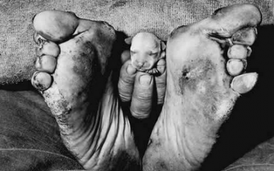 Roger Ballen, Outland, Puppy Between Feet (photo credit: Publicity/RogerBallen.com)