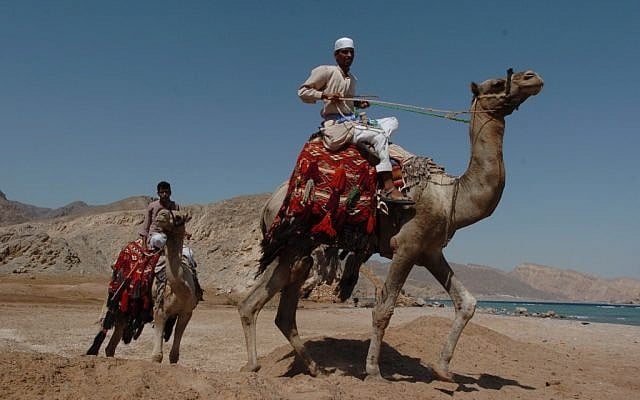 Bedouin in northern Sinai, October 2004 (photo credit: Nati Shohat/Flash90)