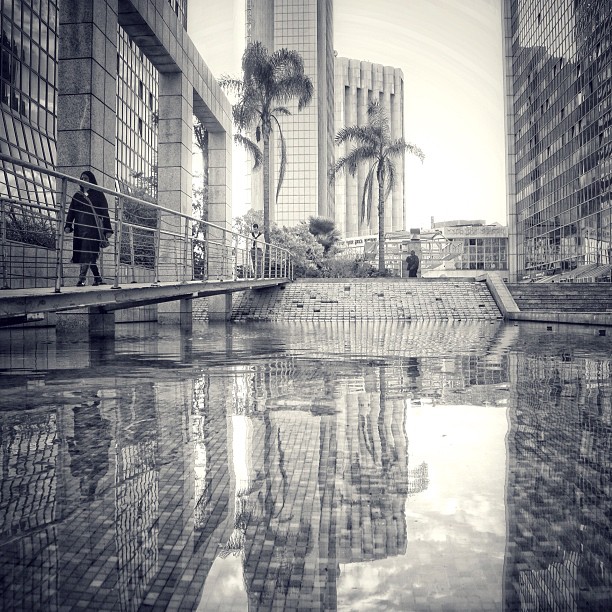 December 15 Instagram photo of the day (photo credit: @irahok)
