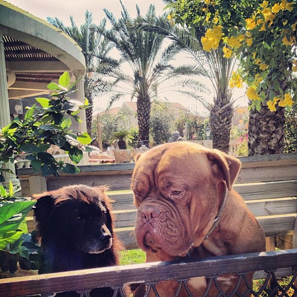 December 15 Instagram photo of the day (photo credit: @adijerbi)