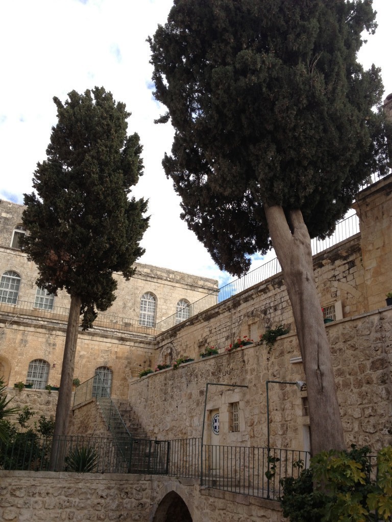 Looking up at the cypresses at the Monastery of the Cross (photo credit: Jessica Steinberg/Times of Israel) Looking up at the cypresses at the Monastery of the Cross (photo credit: Jessica Steinberg/Times of Israel)