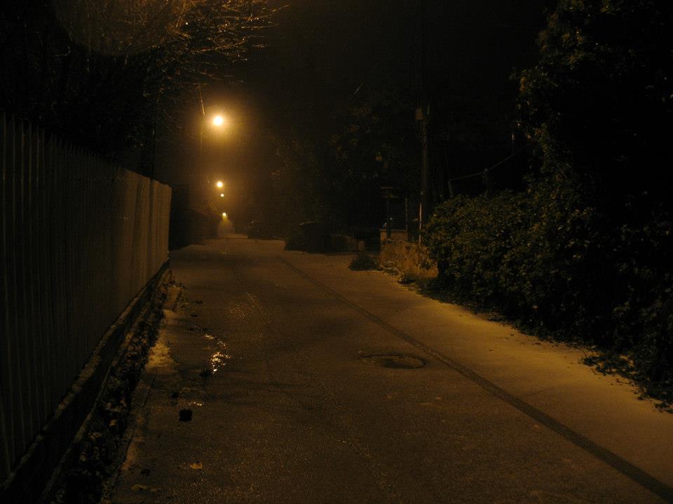 Snow in Givat Ye'arim on Wednesday night (photo credit: Laary emel/Times of Israel)