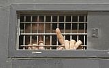 Illustrative photo of a Palestinian prisoner (Tsafrir Abayov/Flash90)
