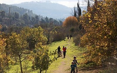 Illustrative photo of a park area in Jerusalem (Photo by Yossi Zamir/Flash 90)